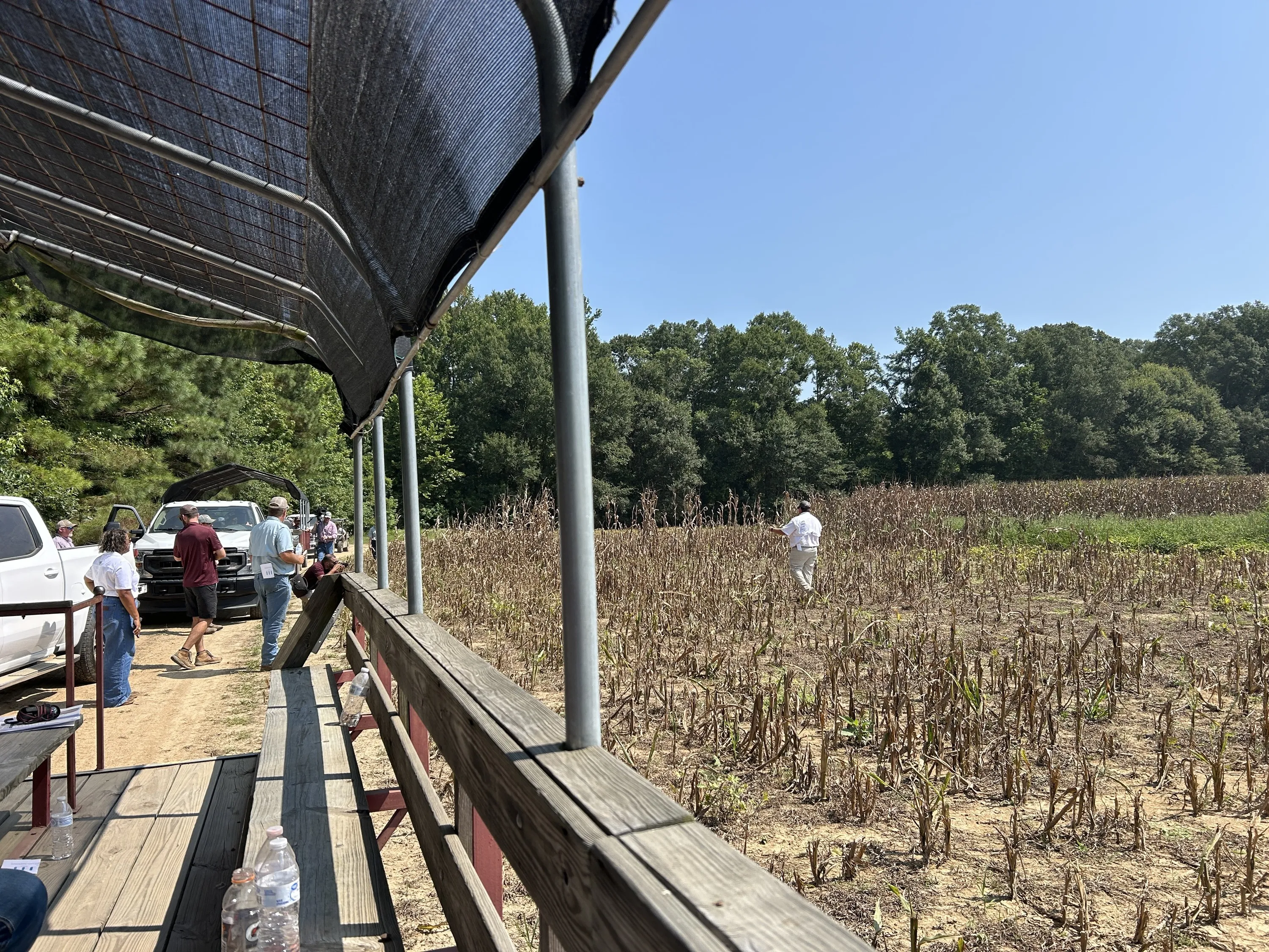 A field-day audience on a covered wagon watches a demonstration in a late-season corn field