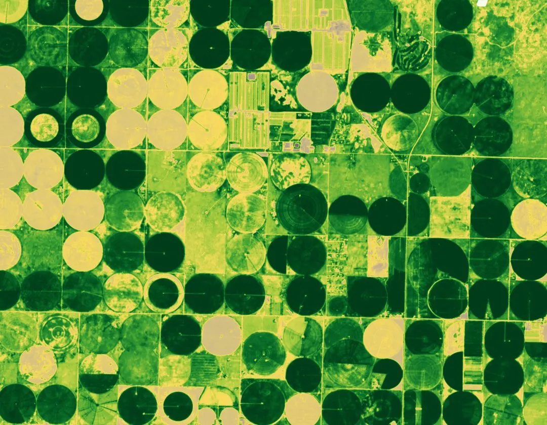 Field map: vegetation index across the 34-field portfolio with the flagged fields outlined