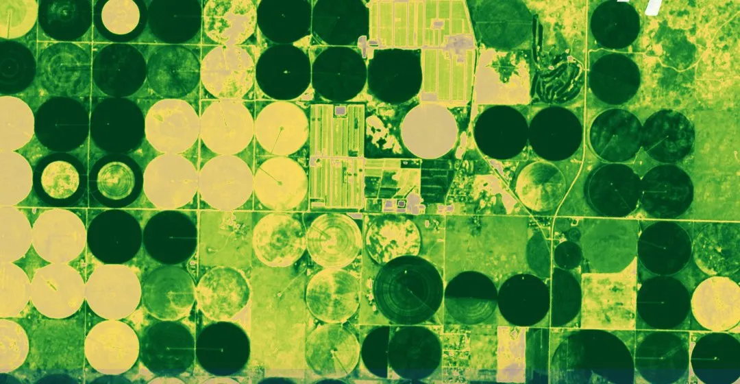 True-color satellite view of row-crop fields